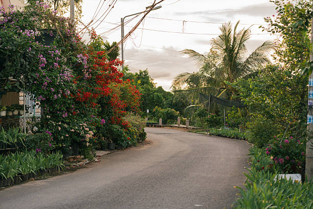 istock Tranquil road curves through lush greenery framed by vibrant flowers and tropical trees 2253358089