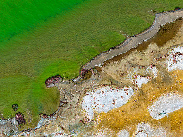 istock global climate crisis,top-down photography with droneabstract tree and forest figures emerging in salt lakes, colored waters such as yellow, red, green, brown, extinct plant species,Aerial View 2253359224