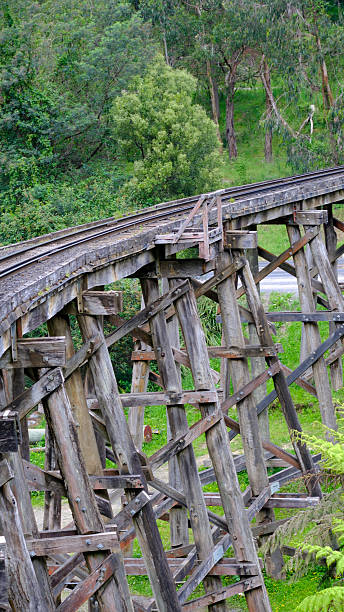 Side view of a historic timber trestle bridge supporting train tracks over a lush valley in the Dandenong Ranges, Victoria.