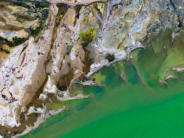 istock global climate crisis,top-down photography with droneabstract tree and forest figures emerging in salt lakes, colored waters such as yellow, red, green, brown, extinct plant species,Aerial View 2253359298
