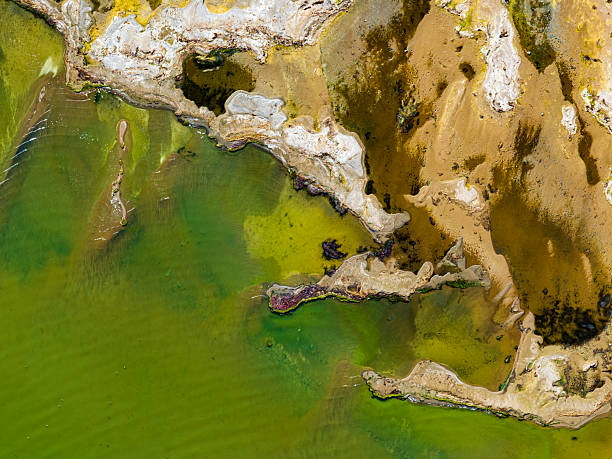 istock global climate crisis,top-down photography with droneabstract tree and forest figures emerging in salt lakes, colored waters such as yellow, red, green, brown, extinct plant species,Aerial View 2253359362