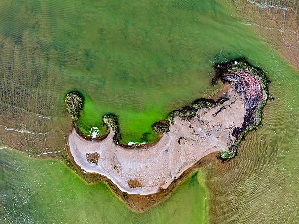 istock global climate crisis,top-down photography with droneabstract tree and forest figures emerging in salt lakes, colored waters such as yellow, red, green, brown, extinct plant species,Aerial View 2253359381