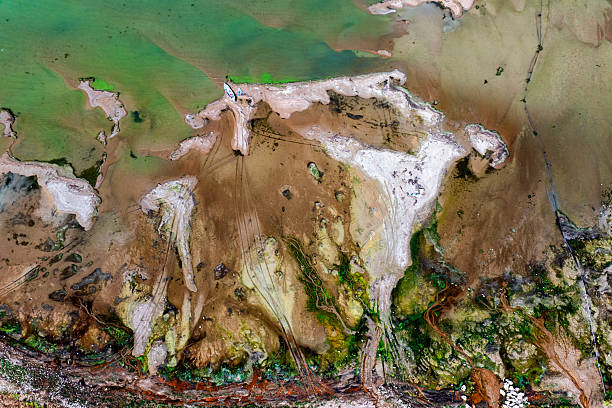 istock global climate crisis,top-down photography with droneabstract tree and forest figures emerging in salt lakes, colored waters such as yellow, red, green, brown, extinct plant species,Aerial View 2253359593