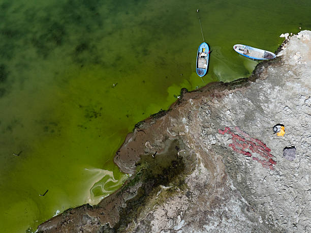 istock global climate crisis,top-down photography with droneabstract tree and forest figures emerging in salt lakes, colored waters such as yellow, red, green, brown, extinct plant species,Aerial View 2253359599