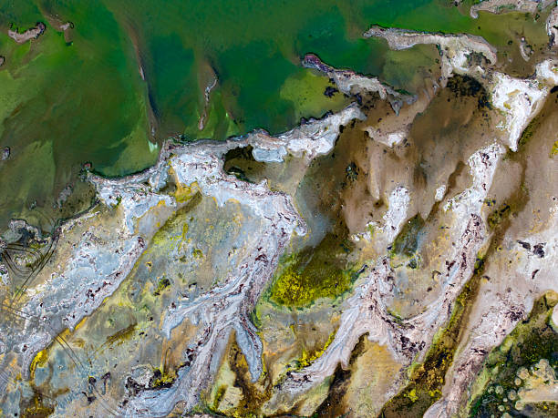 istock global climate crisis,top-down photography with droneabstract tree and forest figures emerging in salt lakes, colored waters such as yellow, red, green, brown, extinct plant species,Aerial View 2253359600