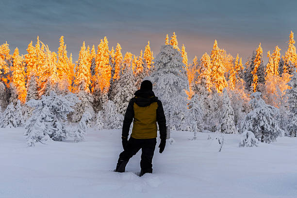 Rear view of a hiker in deep snow admiring sunset over the frozen forest in the arctic landscape, Ruka, Kuusamo, Finnish Lapland, Finland