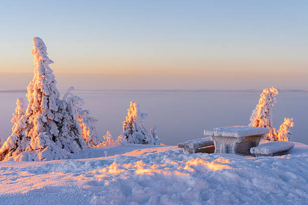 Empy picnic table with benches covered with snow in the arctic landscape seen in winter at sunset, Ruka, Kuusamo, Finland