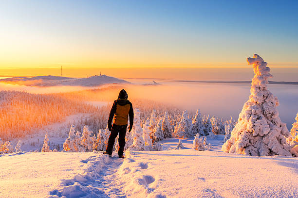 Person on top of a hill admiring forest covered with snow at sunset, Ruka, Kuusamo, Finnish Lapland, Finland