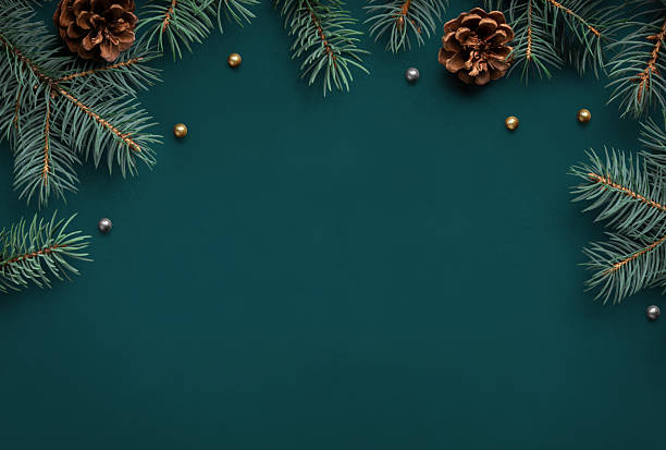 istock Christmas tree branches and pine cones on green top view 2253364843