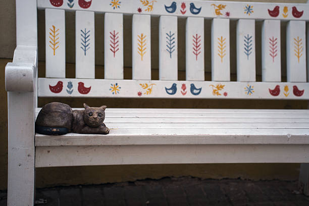 street cat lying on the bench