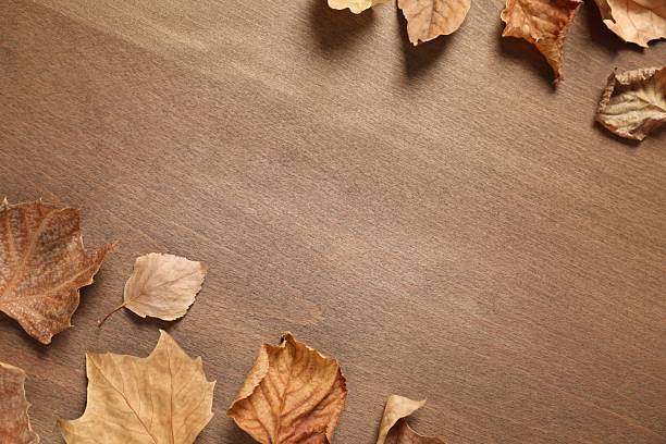 Dry leaves on a blurry wooden surface.