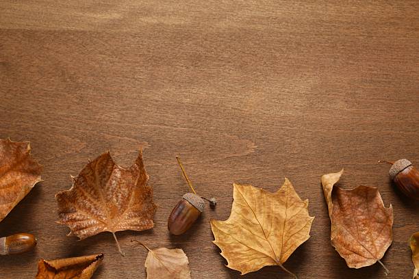 Autumn leaves on wooden background