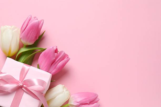 istock Beautiful fresh tulips with gift box on pink background 2253372574