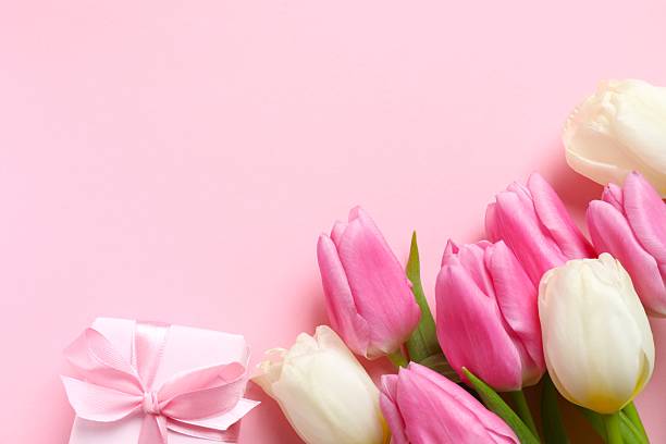 istock Beautiful fresh tulips with gift box on pink background 2253372576