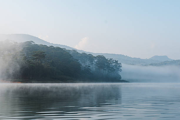 istock A serene waterscape featuring gentle ripples mist-covered trees and distant hills Nature's calm 2253374059