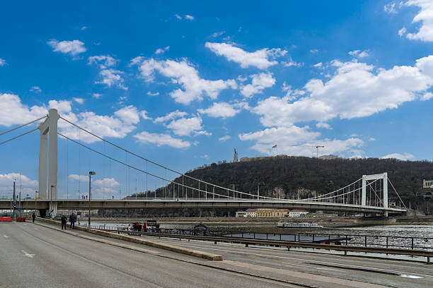Budapest, Hungary - March 15, 2025: A white suspension bridge, the Elisabeth Bridge, spans the Danube River in Budapest, with Gellért Hill and the Liberty Statue visible on the right under blue sky.