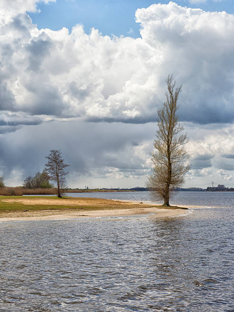 Bare trees standing on the shore of Lake Wolderwijd under a cloudy sky in Nijkerk