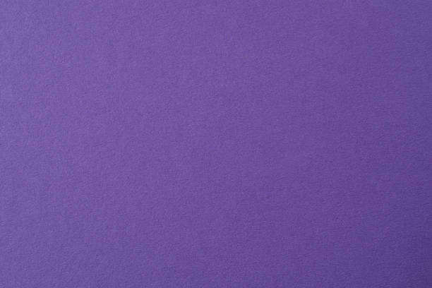 istock Purple wall texture background. Violet and lavender wall texture backdrop design. Mauve, lilac backdrop and copy space 2253376686