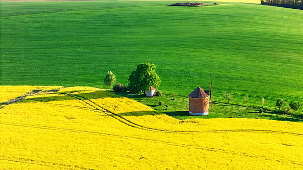 istock A picturesque landscape with a windmill nestled between vibrant green and yellow fields. 2253379143