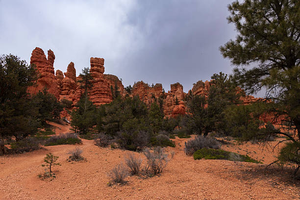 istock Red Canyon near Bryce Canyon National Park 2253384038