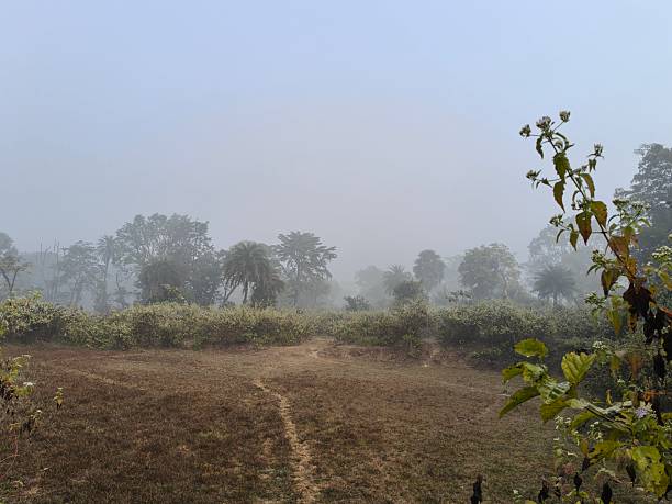 istock A serene landscape captured in a thick morning mist. 2253386548