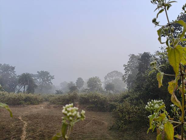 istock A serene landscape captured in a thick morning mist. 2253386581