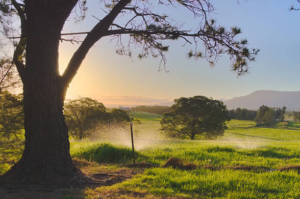 Australian countryside time to water plants rural peaceful landscape