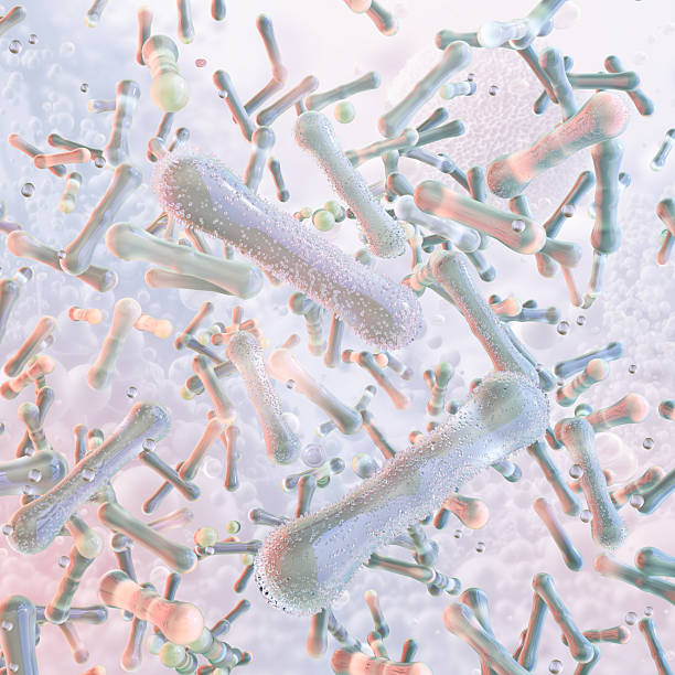 istock Beneficial probiotic bacteria, Bifidobacterium, Lactobacillus species. 2253388040
