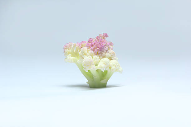 A close-up still life of a single cauliflower floret placed on a light, minimal background. Soft diffused lighting highlights the natural texture, delicate structure, and subtle color variations of the vegetable. The composition conveys simplicity, freshness, and organic purity, making it suitable for concepts related to healthy food, natural ingredients, and minimal design.