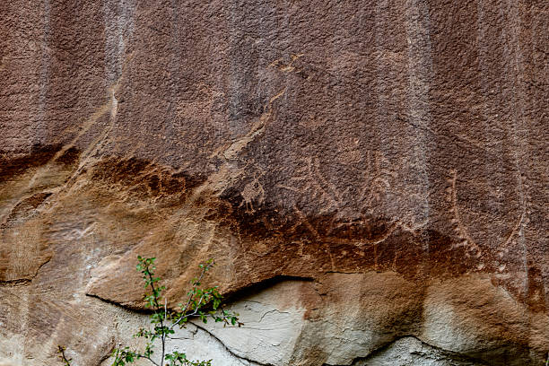 Petroglyphs Pictographs Dinosaur National Monument Park Utah Colorado