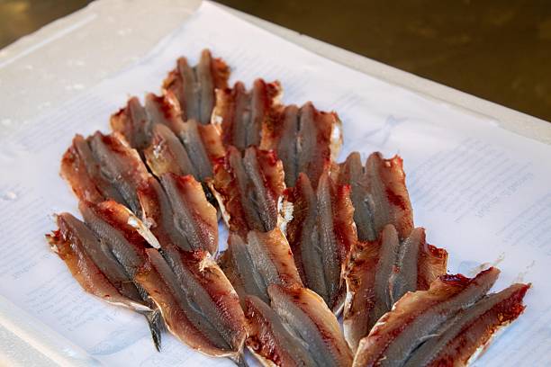 Raw anchovies fillets neatly arranged on a white surface, prepared for processing or culinary use