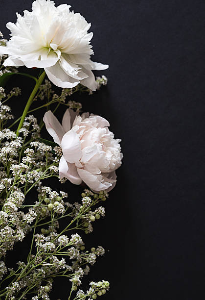 istock Delicate white flowers and buds arranged beautifully on a dark surface 2253393767
