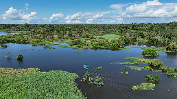 istock Boat sailing at Amazon River at Amazon Rainforest. Manaus Brazil. 2253394716
