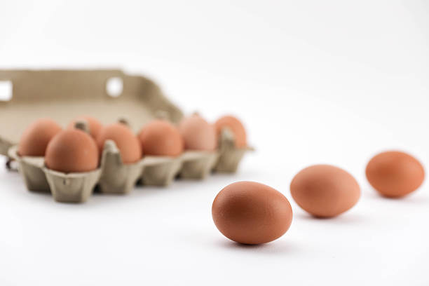 Brown Chicken Eggs Arranged In Open Egg Carton And Placed On Clean White Background, Representing Fresh Food, Organic Nutrition, Farm Product, Natural Protein Source, Minimalist Still Life, And Studio Food Photography.