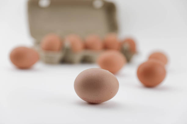 Brown Chicken Eggs Arranged In Open Egg Carton And Placed On Clean White Background, Representing Fresh Food, Organic Nutrition, Farm Product, Natural Protein Source, Minimalist Still Life, And Studio Food Photography.