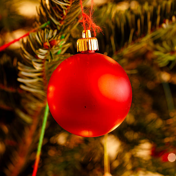 istock Red Christmas bauble hanging on green fir tree 2253400486