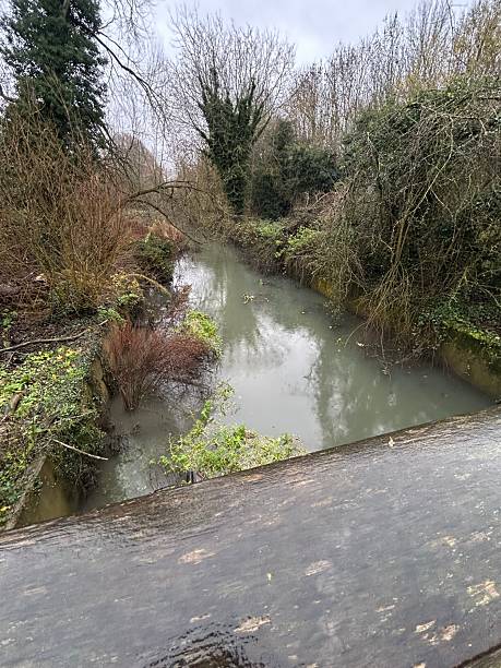 istock Misty River Canal With Overgrown Banks, Calm Water 2253402158