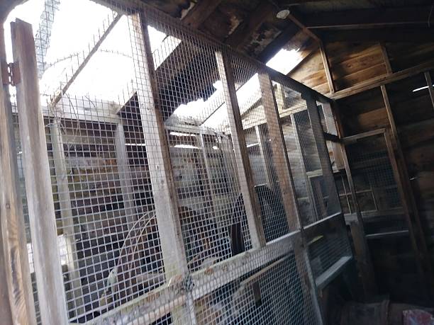 istock Gears in an Abandoned Utility Shed 2253407808