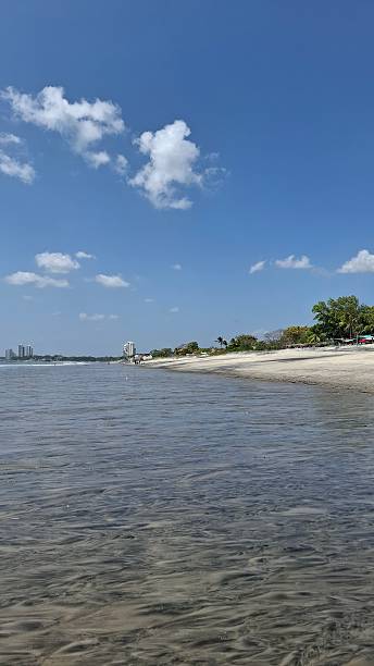 istock waves on the beach on a sunny summer day 2253409602