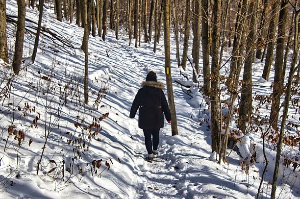 Washington County, Wisconsin, USA – December 16, 2025: Sunny winter view of a lone hiker passing through a snowy forest along the Loew Lake Segment of The Ice Age Trail near Monches, Wisconsin.