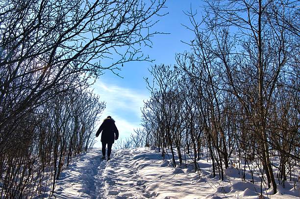 Washington County, Wisconsin, USA – December 16, 2025: On a cold December day, a lone hiker climbs a hill surrounded by bare shrubs along the Loew Lake Segment of The Ice Age Trail near Monches, Wisconsin.