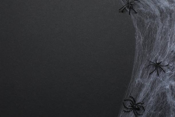 Halloween holiday decorations including cobweb, bats and spider on black background, top view