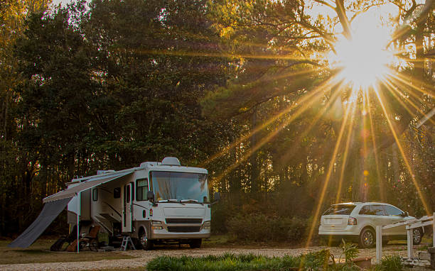 An RV is parked in a peaceful forest setting, surrounded by tall trees. Sunlight filters through the branches, illuminating the campsite.