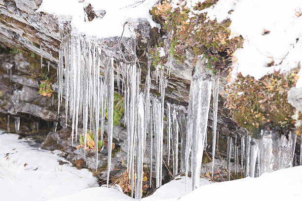Icicles hanging from rock in the mountains of Jotunheimen National Park in early winter (October). The ground is covered with snow. Shallow depth of field. The image was captured with a full frame DSLR camera and a sharp lens at low ISO. The photograph is part of a series of images of Jotunheimen National Park at various seasons.