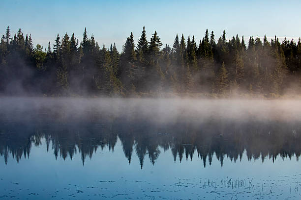 Morning at the lake