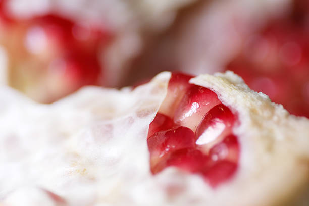 Texture of fresh pomegranate seed for breakfast