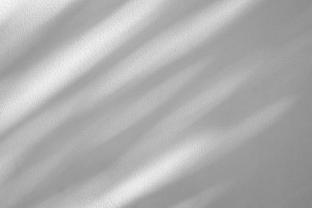istock Abstract natural tree branch leaves shadow on white wall background 2253431241