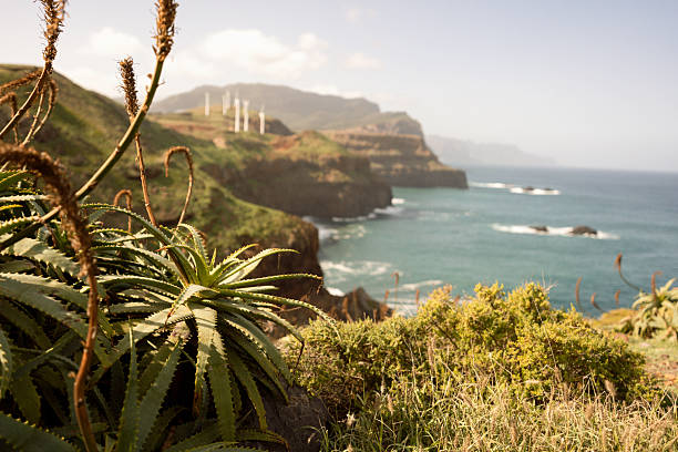 Hawaii of Europe. Scenic coastal view of sheer cliffs with lush greenery, wind turbines in the distance, the Atlantic ocean and bright clear sky at the horizon.