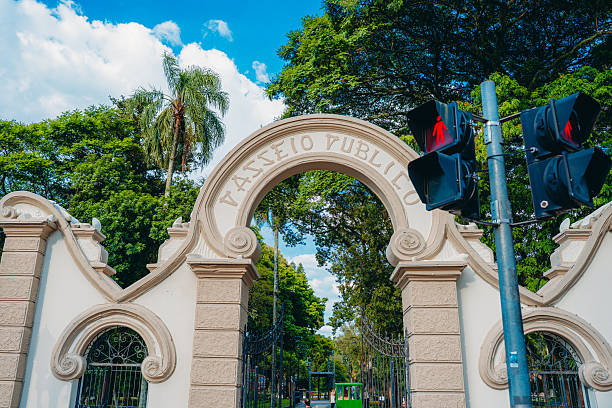 istock Curitiba Tree Park Downtown Green Oasis Curitiba 2253433853