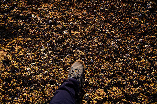 Leather hiking boots damanged by a tough trip